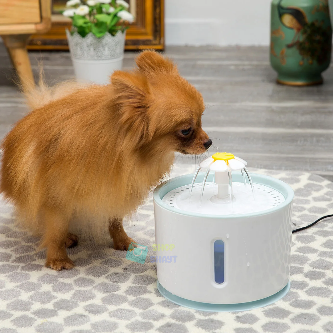 FUENTE DE AGUA PARA MASCOTA AUTOMÁTICA - TU COMPAÑERO FIEL MERECE LO MEJOR