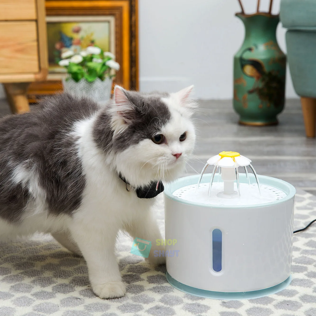 FUENTE DE AGUA PARA MASCOTA AUTOMÁTICA - TU COMPAÑERO FIEL MERECE LO MEJOR