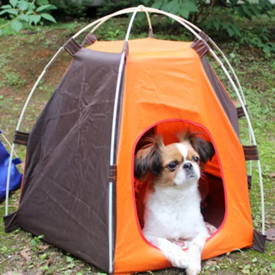 CARPA PARA MASCOTAS 🏠🐕🐈