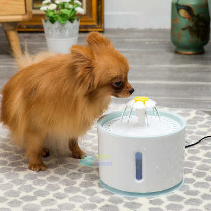 FUENTE DE AGUA PARA MASCOTA AUTOMÁTICA - TU COMPAÑERO FIEL MERECE LO MEJOR