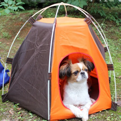 CARPA PARA MASCOTAS  🏠🐕🐈